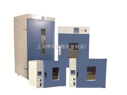 DHG-9240A立式250度鼓风干燥箱 通用设备制造中的全能老化与烘烤专家