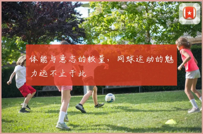 体能与意志的较量,网球运动的魅力远不止于此