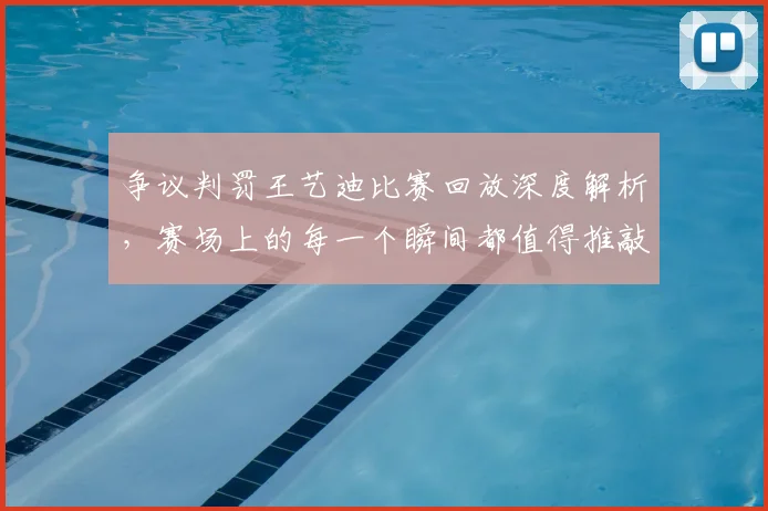 争议判罚王艺迪比赛回放深度解析,赛场上的每一个瞬间都值得推敲